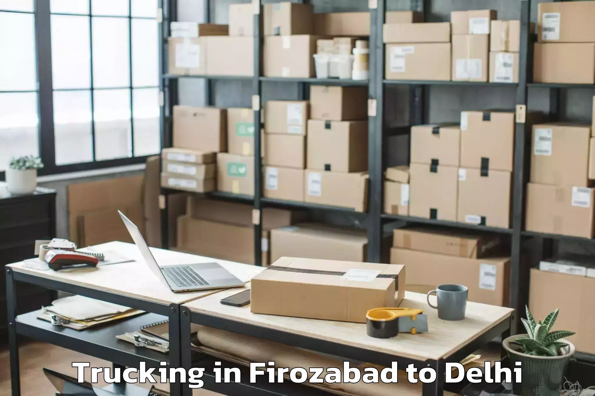 Top Firozabad to South Asian University New Del Trucking Available